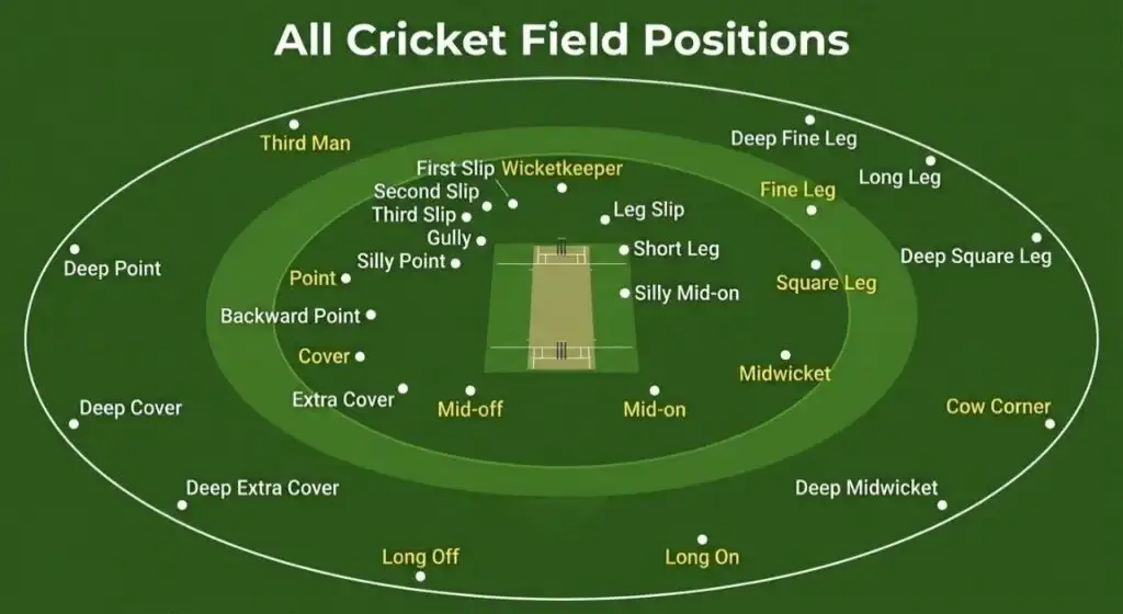 Cricket fielding positions